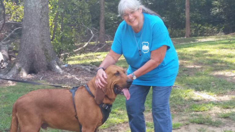 Memphis k9 bloodhound